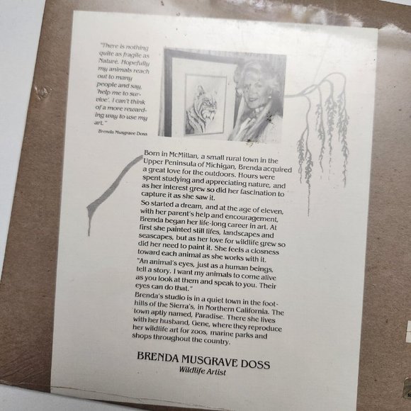 Brenda Musgrave Doss Humpback Small Matted Art Picture Signed - Picture 4 of 5